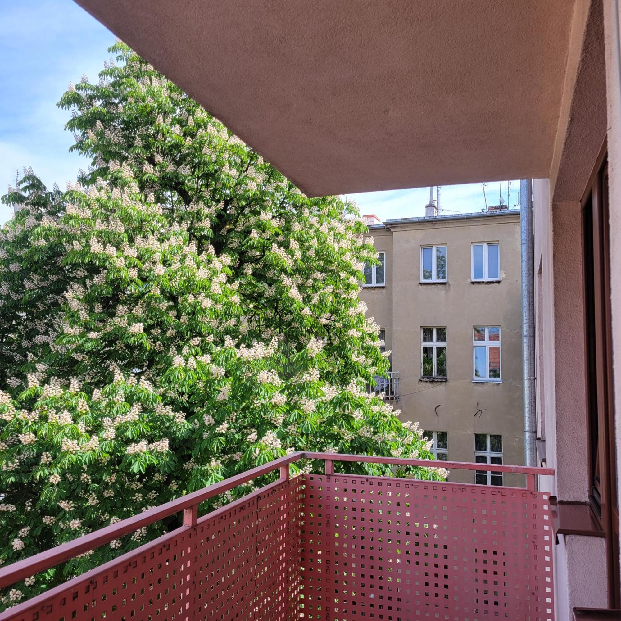 Aura Apartment Wroclaw Exterior photo